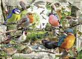Ravensburger Our Feathered Friends 1000 Piece Jigsaw Puzzle for Adults & for Kids Age 12 Years Up